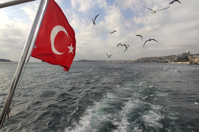 2-Hour Bosphorus Cruise in Istanbul with Guide - Bosphorus Highlights Along Both Shores: Palaces, Mosques, and Museums