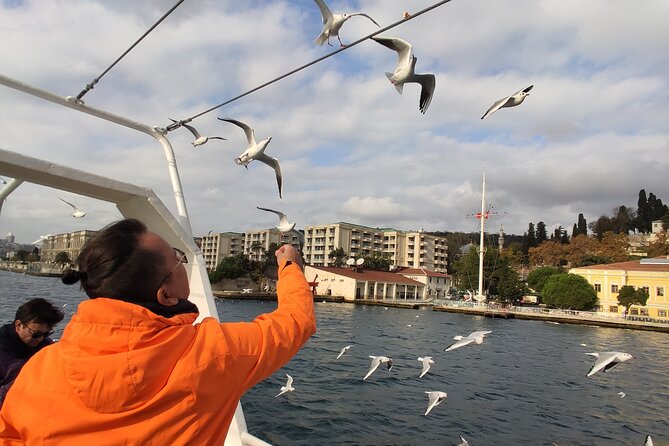 2-Hour Bosphorus Cruise in Istanbul with Guide - Your Licensed Guide Onboard: What You Gain Beyond the Views