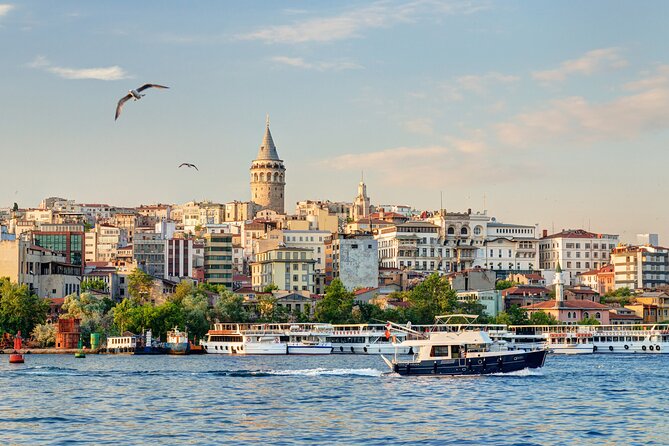 A-Day-Tour of Istanbul, by Land and Sea - Bosphorus Bridge Crossing: The City in a Single View