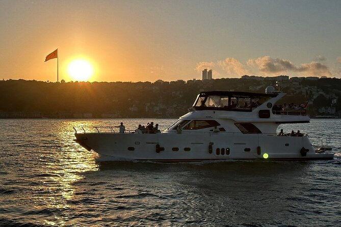 Afternoon Bosphorus Cruise Luxury Yacht with Professional Guide - Rumeli Hisarı and Anadolu Hisarı: fortresses that explain Istanbul’s chokepoints