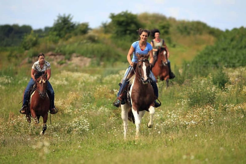 Alanya: Horse Riding Adventure - Key things to know before you go