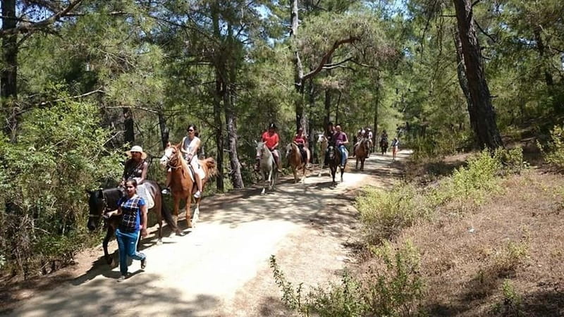 Alanya: Horse Riding Adventure - Ethical horse care and a pace that feels humane