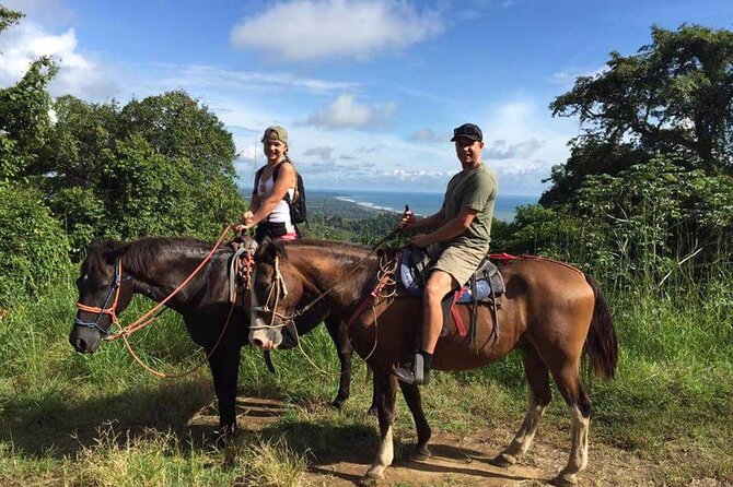 Alanya Horse Riding Experience With Free Hotel Transfer - Key things you’ll notice right away