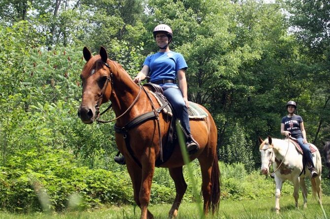 Alanya Horse Riding Experience With Free Hotel Transfer - Who this tour suits best (and who should skip it)