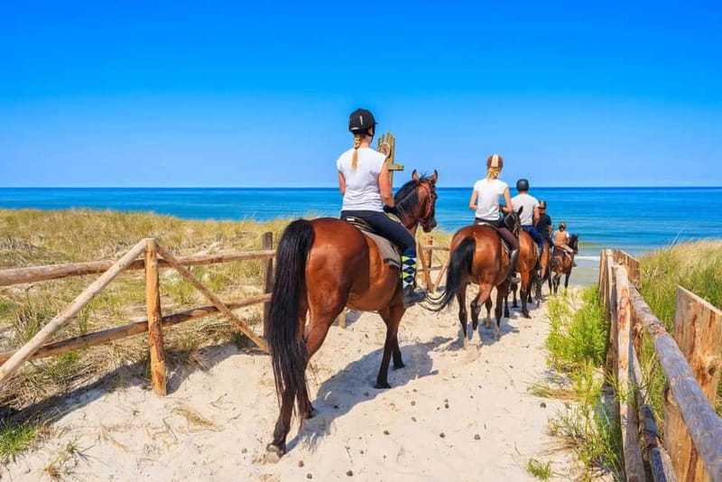 Alanya: Horse Riding Tour with Hotel Transfers - Key Things I’d Pay Attention To