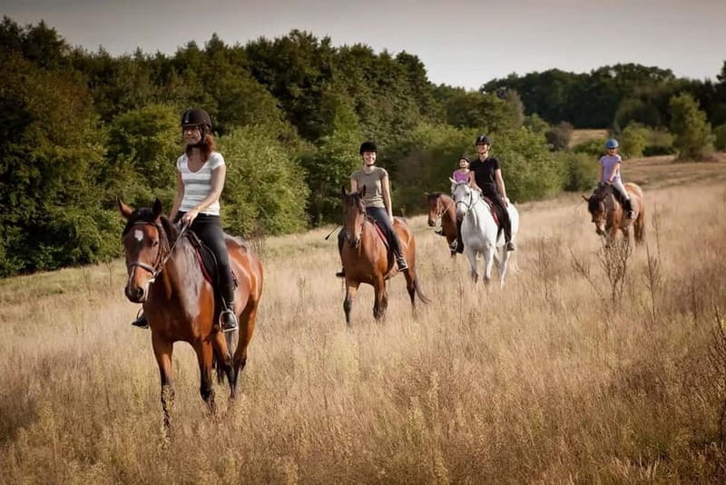 Alanya: Horse Riding Tour with Hotel Transfers - Alanya Horse Riding in Demirtaş: Why This One Is Different