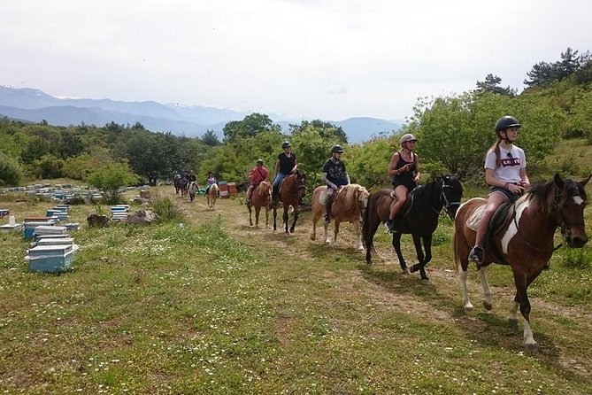 Alanya: Horseback Ride Through Nature near Syedra Ruins - From Trailhead to Taurus Views: How the Ride to Syedra Feels