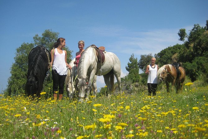 Alanya: Horseback Ride Through Nature near Syedra Ruins - Who Should Book This Alanya Horse Ride, and Who Should Rethink It