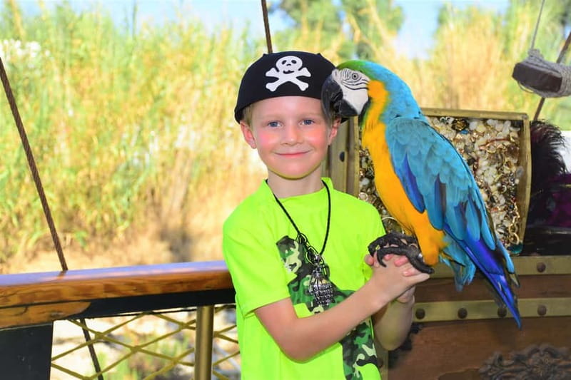 Alanya: Pirate Boat Trip with Meal, Drinks and Pickup Option - Pickup, Drop-Off, and the Real Logistics You’ll Feel