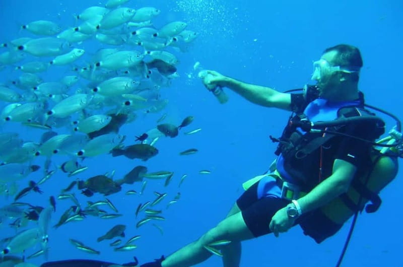 Alanya: Scuba Diving Adventure for Beginners & Professionals - Who This Tour Fits Best (Beginners, Cert Holders, and Pros)