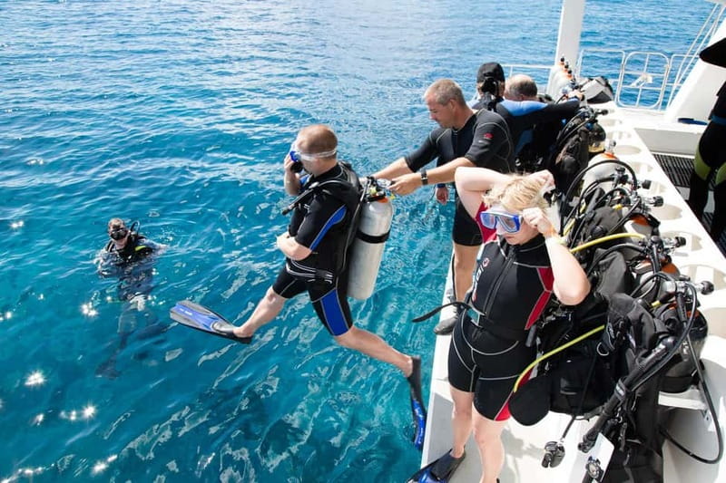 Alanya: Scuba Diving Adventure for Beginners & Professionals - Why Alanya’s Coast Works So Well for a Beginner-Friendly Scuba Day
