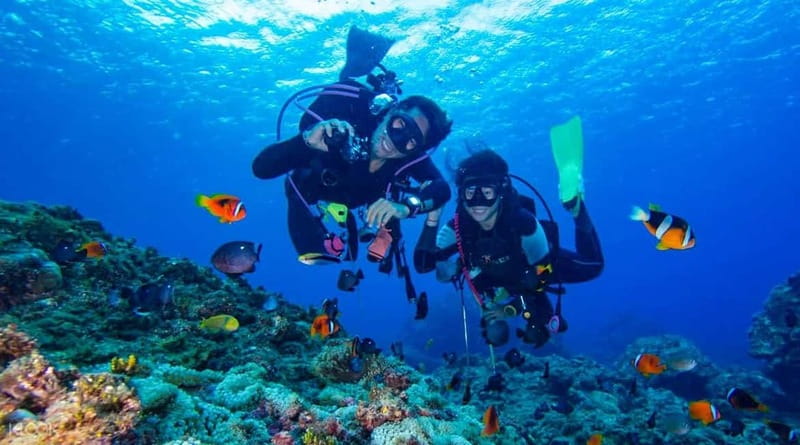 Alanya: Scuba Diving Adventure for Beginners & Professionals - Health Checks and Your Onboard Briefing (The Part That Saves Your Day)