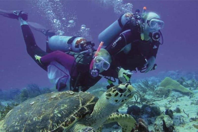 Alanya: Scuba Diving Adventure for Beginners & Professionals - Lunch Onboard, Plus That Sweet Spot of Downtime
