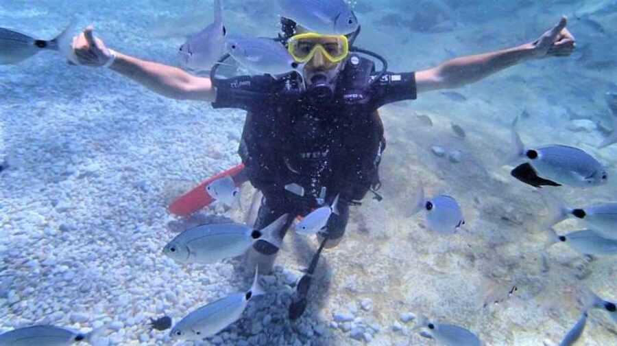 Alanya: Scuba Diving Adventure for Beginners & Professionals - Underwater Session #2 at 5 to 7 Meters (with Better Camera Moments)