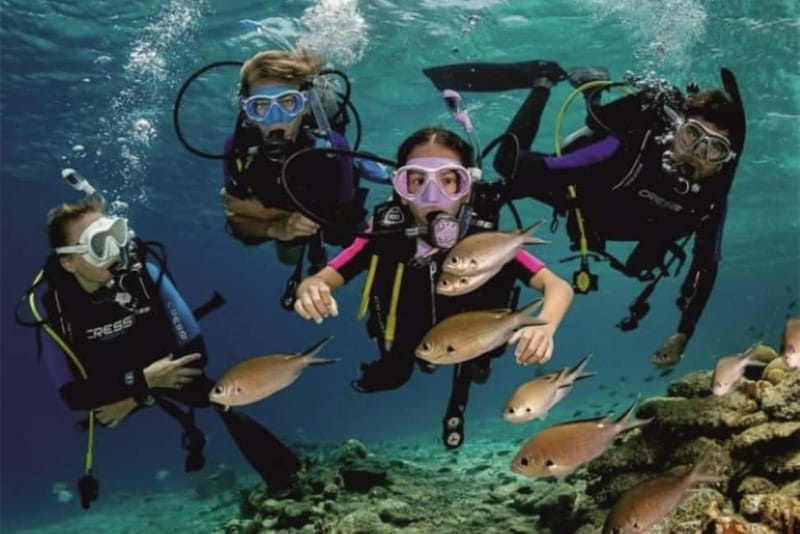 Alanya: Scuba Diving Adventure for Beginners & Professionals - Marine Life Expectations: What You Can Control, and What You Can’t
