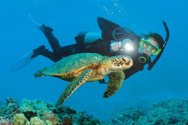 Alanya: Scuba Diving Adventure for Beginners & Professionals - Getting to the Boat: Pickup, Timing, and What to Wear