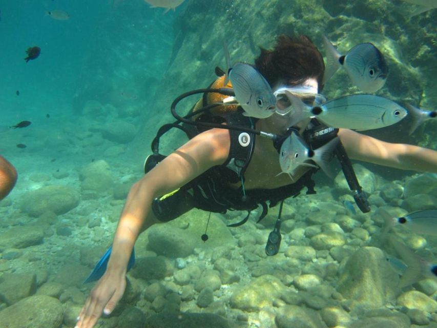 Alanya: Scuba Diving Experience with Lunch - Key Highlights You Should Care About