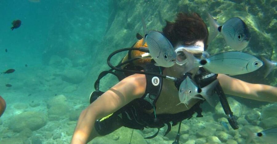 Alanya: Scuba Diving Experience with Lunch - Lunch Break at Sea: What the Midday Reset Feels Like