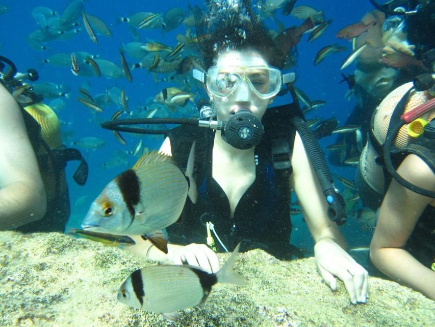 Alanya: Scuba Diving Experience with Lunch - Price and Value: Is $50 Worth It in Alanya?