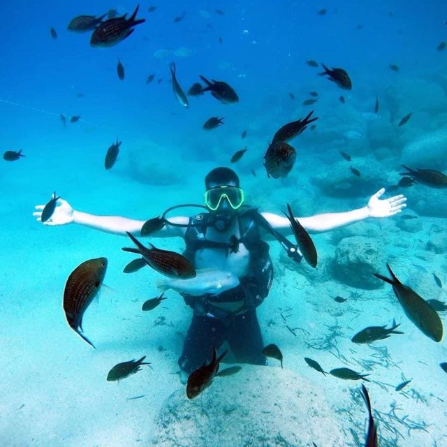 Alanya: Scuba Diving Experience with Lunch - Languages, Instructor Fit, and One Common Concern to Watch
