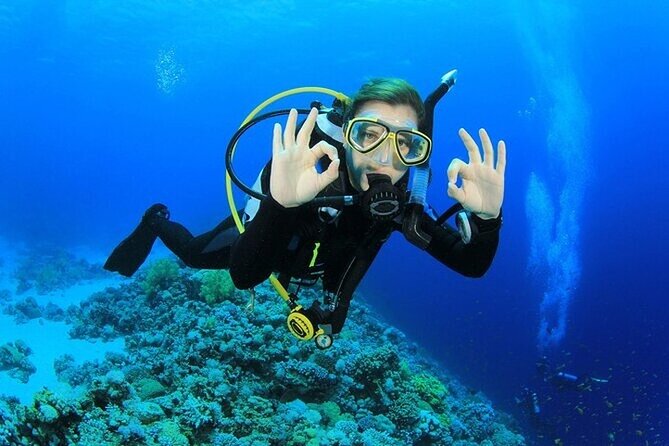 Alanya : Scuba Diving for Beginners w/ Lunch and Transfer - Morning Pickup in Alanya, From Security Gate to Harbor