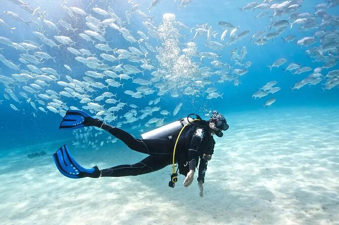 Alanya : Scuba Diving for Beginners w/ Lunch and Transfer - Equipment Included, So Your Day Stays Lightweight