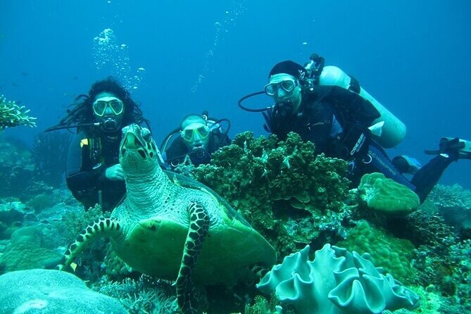 Alanya : Scuba Diving for Beginners w/ Lunch and Transfer - The Boat Ride and Waiting Time on the Water