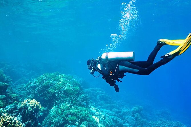 Alanya : Scuba Diving for Beginners w/ Lunch and Transfer - What Happens Before Your First Underwater Session