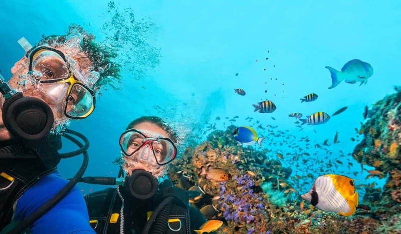 Alanya: Scuba Diving Tour With Lunch - Scuba Sessions Off Alanya: The Big Selling Point Is Simplicity