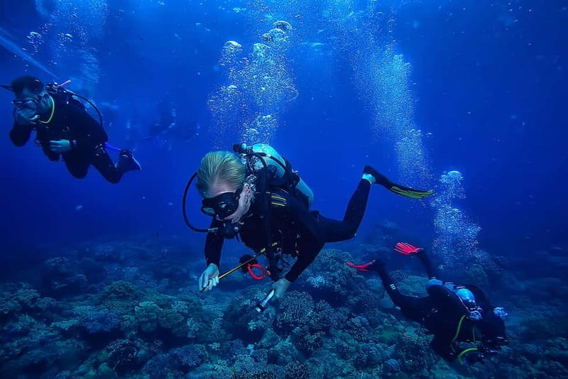 Alanya: Scuba Diving Tour with Lunch and Hotel Transfers - Key things that make this Alanya tour worth your time