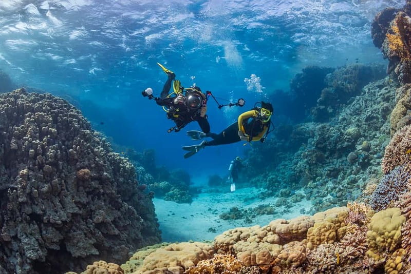 Alanya: Scuba Diving Tour with Lunch and Hotel Transfers - Two underwater sessions with a shallow start you can trust