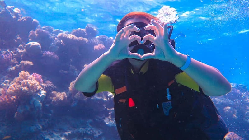 Alanya: Scuba Diving Tour with Lunch and Hotel Transfers - Lunch, breaks, and surface time between sessions