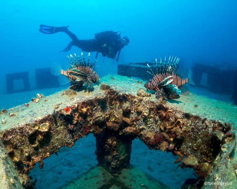 Alanya: Scuba Diving Tour with Lunch and Hotel Transfers - Weather changes: the one risk you should plan around