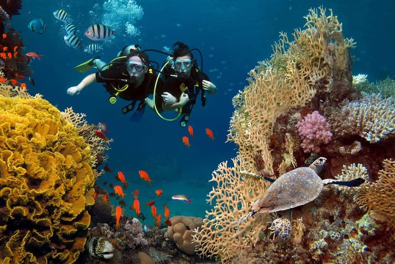 Alanya: Scuba Diving Tour with Lunch and Hotel Transfers - Hotel pickup and boat timing: how the day actually moves