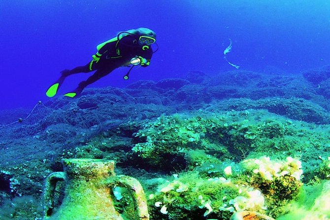 Alanya Scuba Diving with Hotel Transfer incl. Lunch - Key Things You’ll Notice Before You Go
