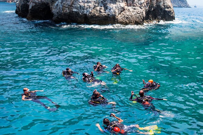 Alanya Scuba Diving with Hotel Transfer incl. Lunch - Marine Life in Alanya: What You’re Likely to See