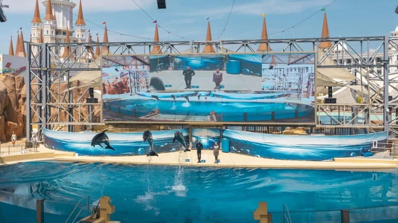Alanya, Side To Land of Legends Theme Park Ticket & Transfer - Dolphin and sea lion shows plus 5D cinema: plan around show timing
