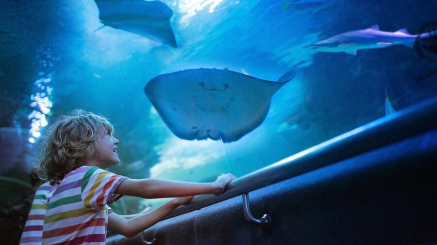 Antalya: Aquarium and Wax Museum Entry Ticket - Key highlights you should care about