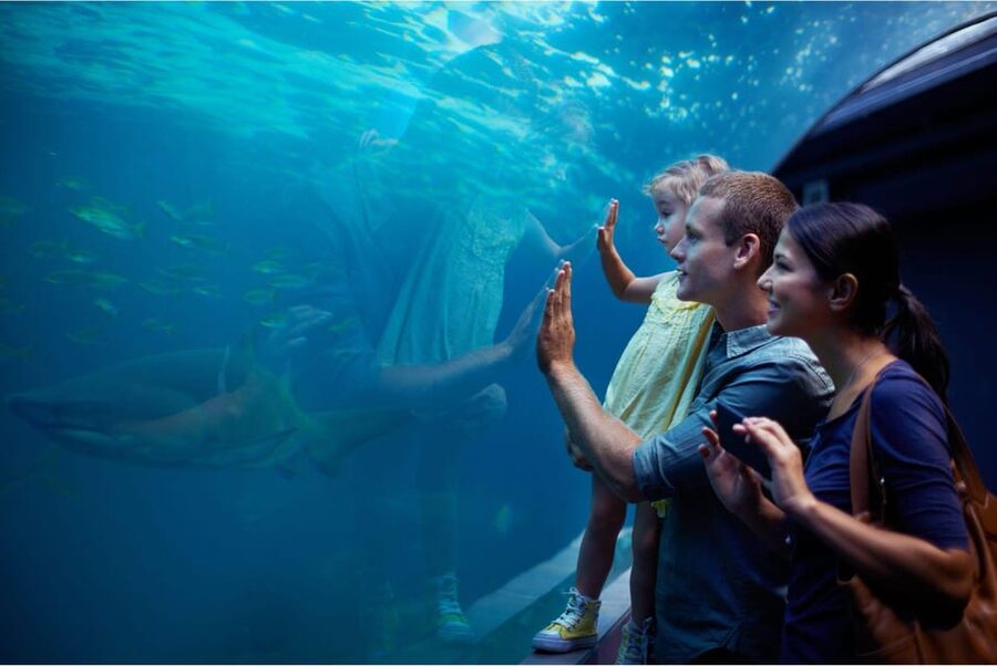 Antalya: Aquarium and Wax Museum Entry Ticket - The themed zones, including Atlantis, make it easier to follow