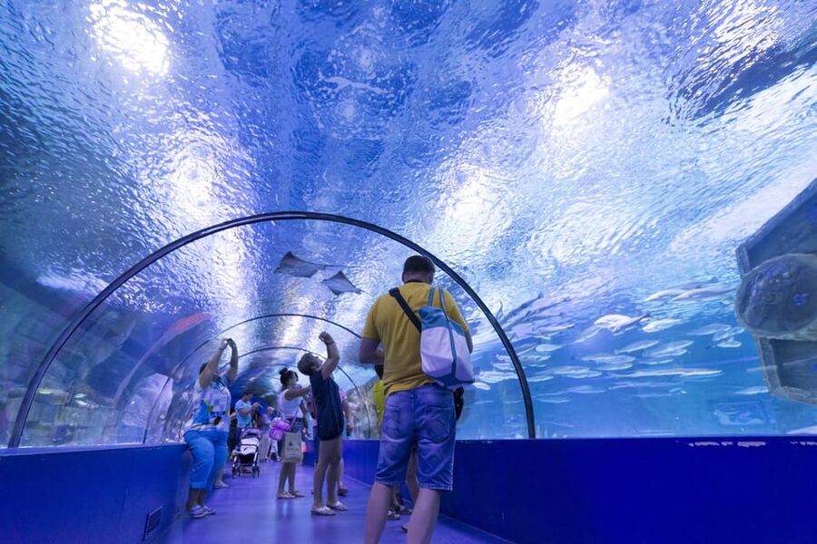 Antalya: Aquarium and Wax Museum Entry Ticket - Face 2 Face Wax Museum, celebrities as a playful counterpoint