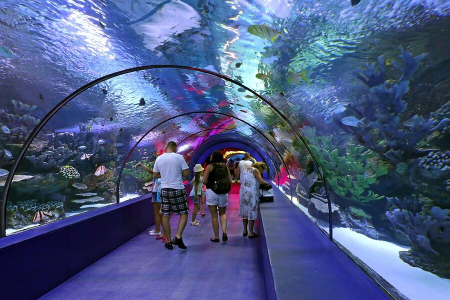 Antalya: Aquarium and Wax Museum Entry Ticket - Timing, shoes, and the little rules that save you time