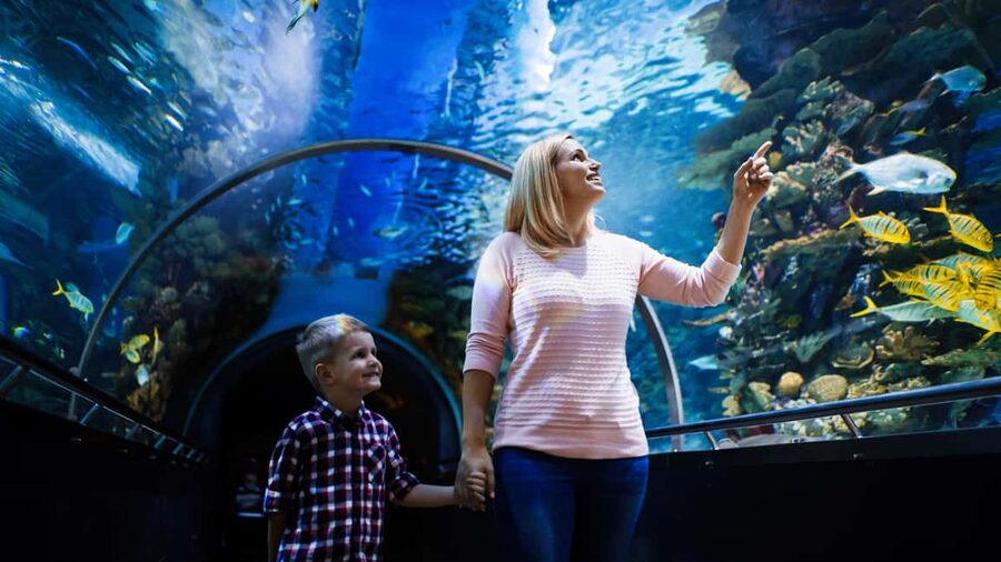 Antalya: Aquarium, Wax Museum, Snow World, Wild Park - Key highlights at a glance