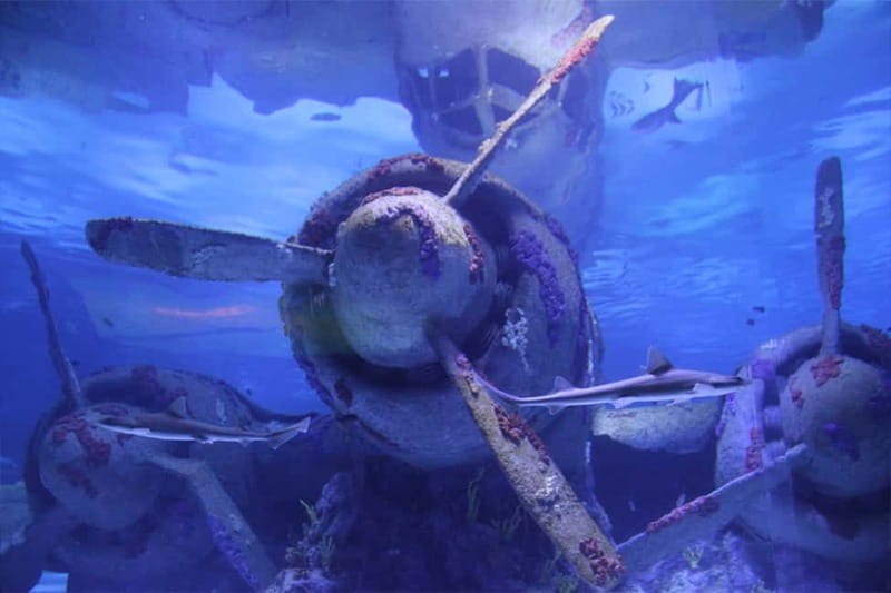 Antalya: Aquarium, Wax Museum, Snow World, Wild Park - Hollywood green screen photo moments for quick souvenirs