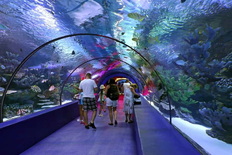 Antalya: Aquarium, Wax Museum, Snow World, Wild Park - Hotel pickup and the value of smooth logistics