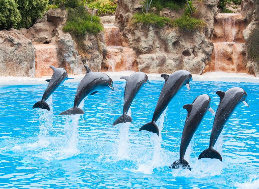 Antalya/Belek: The Land of Legends Theme Park with Transfer - Who this Land of Legends transfer day suits best