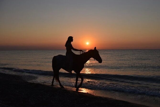 Antalya Horse Riding On Beach And Through The Forests For 2 Hours - Key things worth knowing before you book