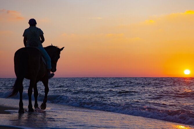Antalya Horse Riding On Beach And Through The Forests For 2 Hours - Sunrise and sunset upgrade, timing the ride for better light