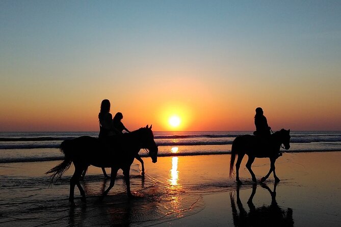 Antalya Horse Riding On Beach And Through The Forests For 2 Hours - The beach segment at Lara Beach, sand underfoot and ground checks