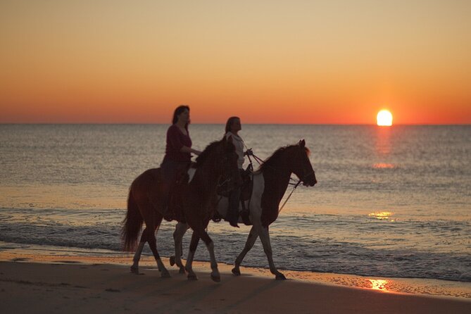 Antalya Horse Riding On Beach And Through The Forests For 2 Hours - Photo rules, camera timing, and how to avoid disappointment