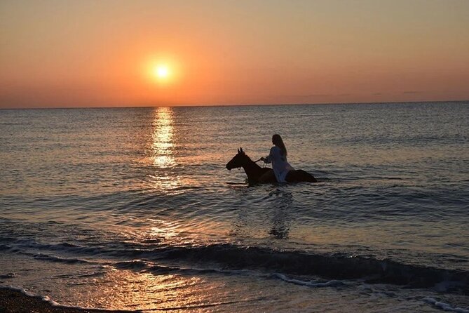 Antalya Horse Riding On Beach And Through The Forests For 2 Hours - Where you start, meeting point, and how the return works